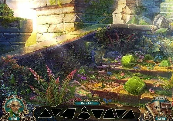 Nearwood Collector's Edition Global