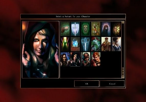 Neverwinter Nights: Heroes of Neverwinter DLC EN Global