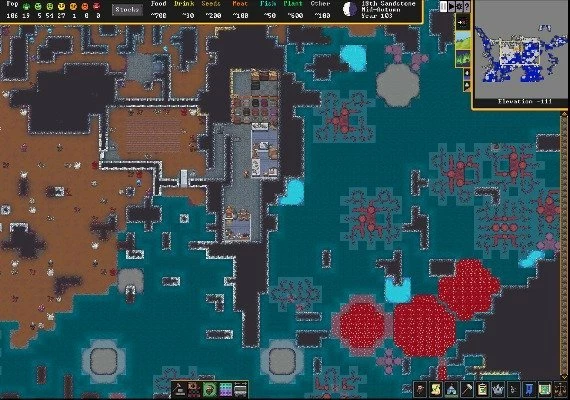 Dwarf Fortress EN Global