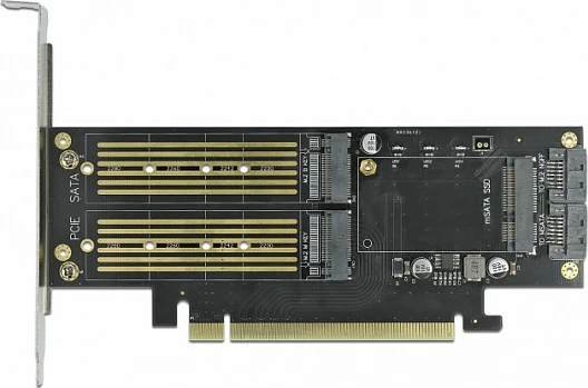 Kartelë zgjerimi DeLOCK PCIe x16 në M.2 B + M.2 NVMe M + mSATA, low-profile