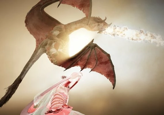 Black Desert - Special Gift Bundle 2 DLC EN Global