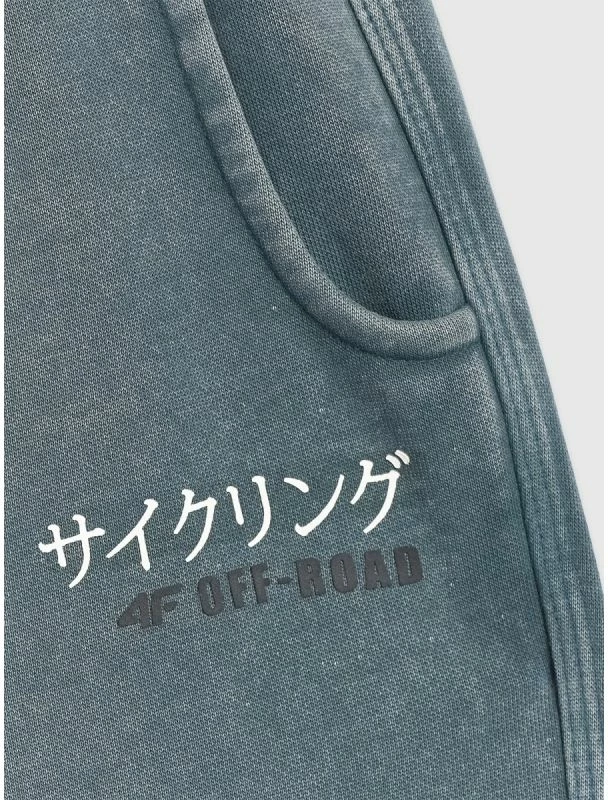 Pantallona sportive për djem 4F, gri