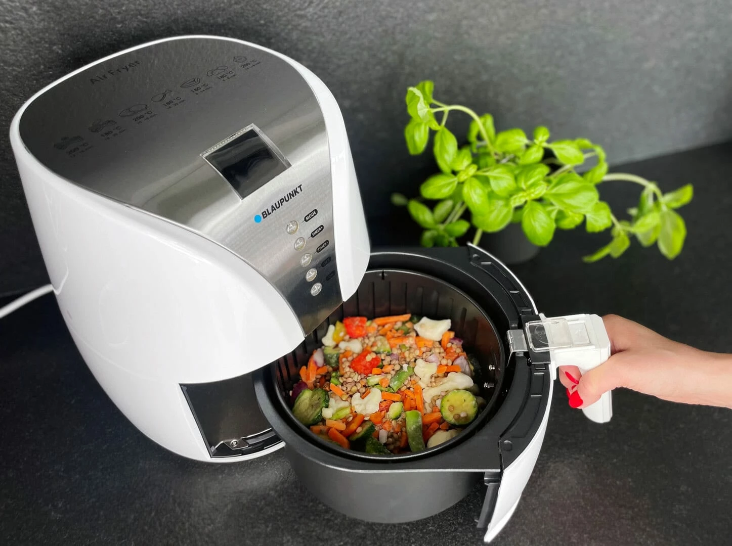 Fritezë BLAUPUNKT AFD601