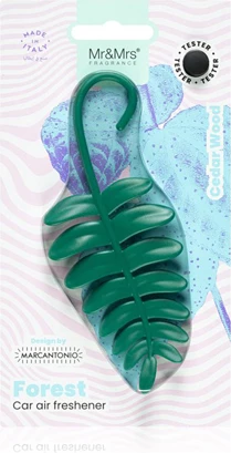 Mr&Mrs Cedar Wood Gjelbert