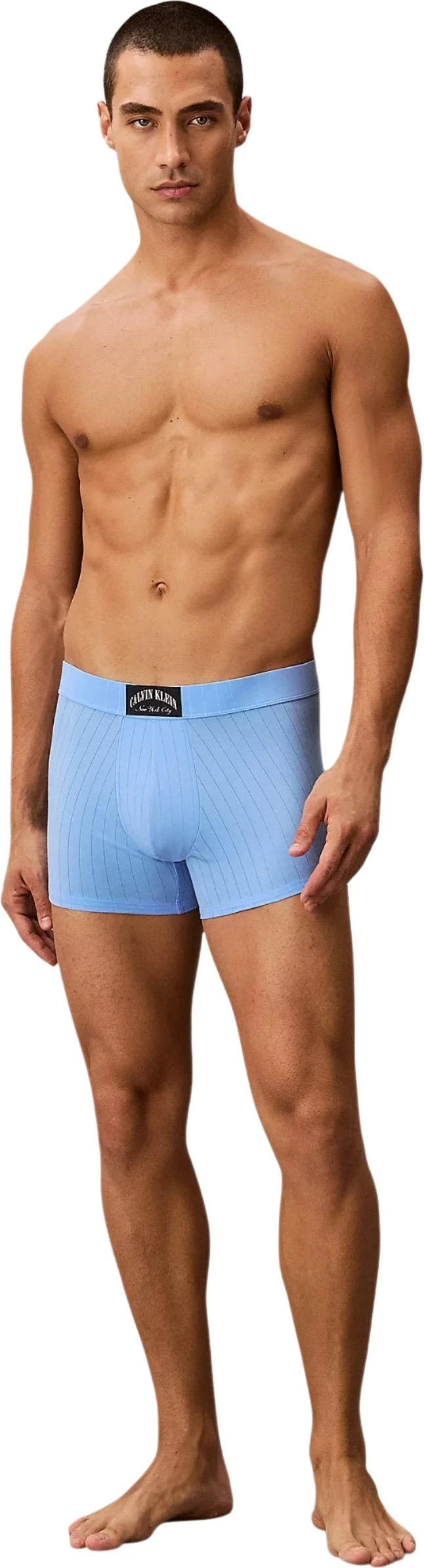Të brendshme (bokser) për meshkuj Calvin Klein Underwear LV00NB4504, blu [Madhësia: L]