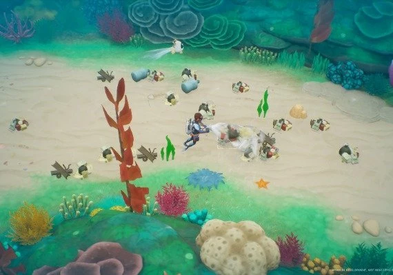 Coral Island EN/DE/FR/JA/ZH/ES Global
