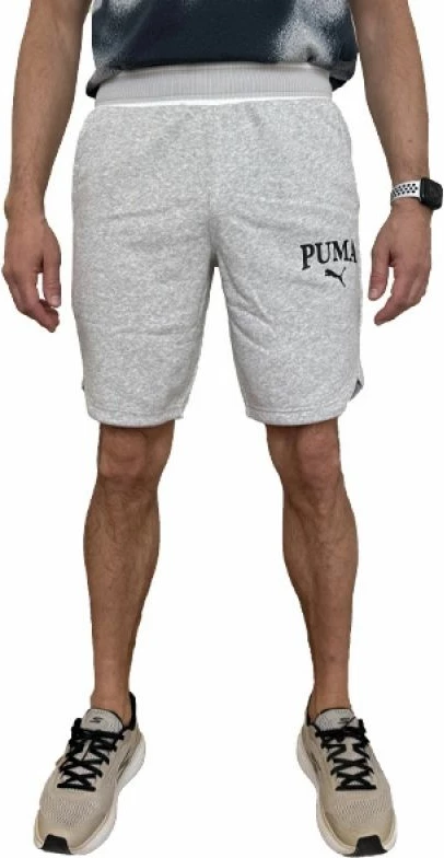 Shorce për meshkuj Puma, gri