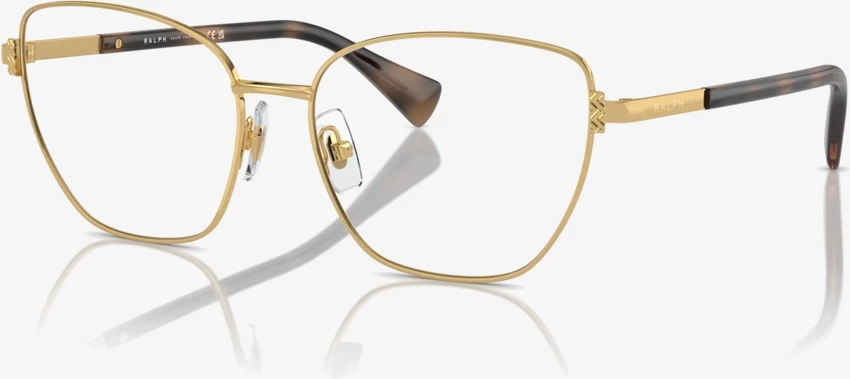 Korniza optike Ralph RA6060 9004 54