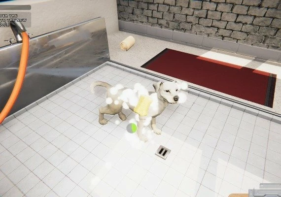 Animal Shelter Global