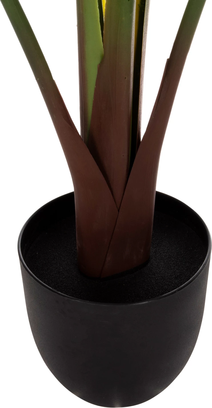 Bimë sintetike dekorative në vazo, FH7969, Strelitziaceae, 115Hcm