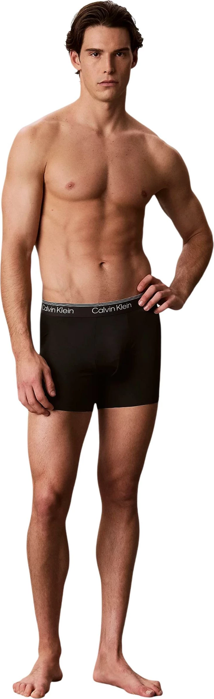 Të brendshme për meshkuj Calvin Klein Underwear LV00NB4410, gri e çelët [Madhësia: XL]