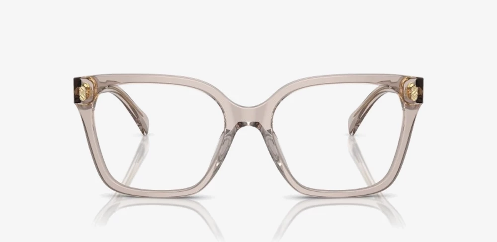 Korniza optike Ralph RA7158U 6117 55