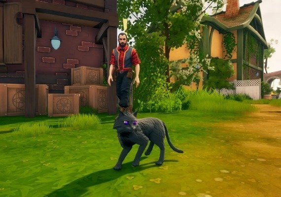 The Witch of Fern Island EN/PL Global