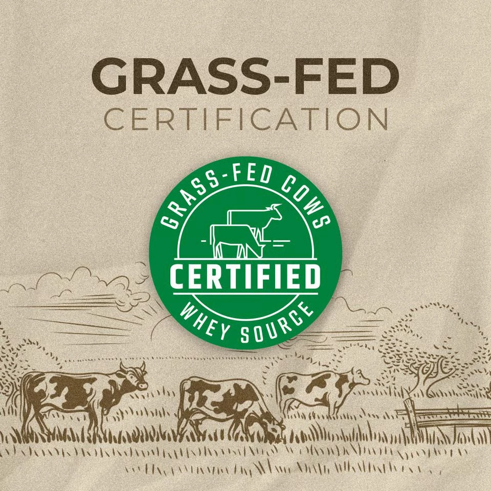 Whey Protein 2250G Pistachio