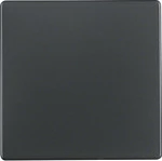 Kapak çelësi Berker 16206086, screwless, antracit