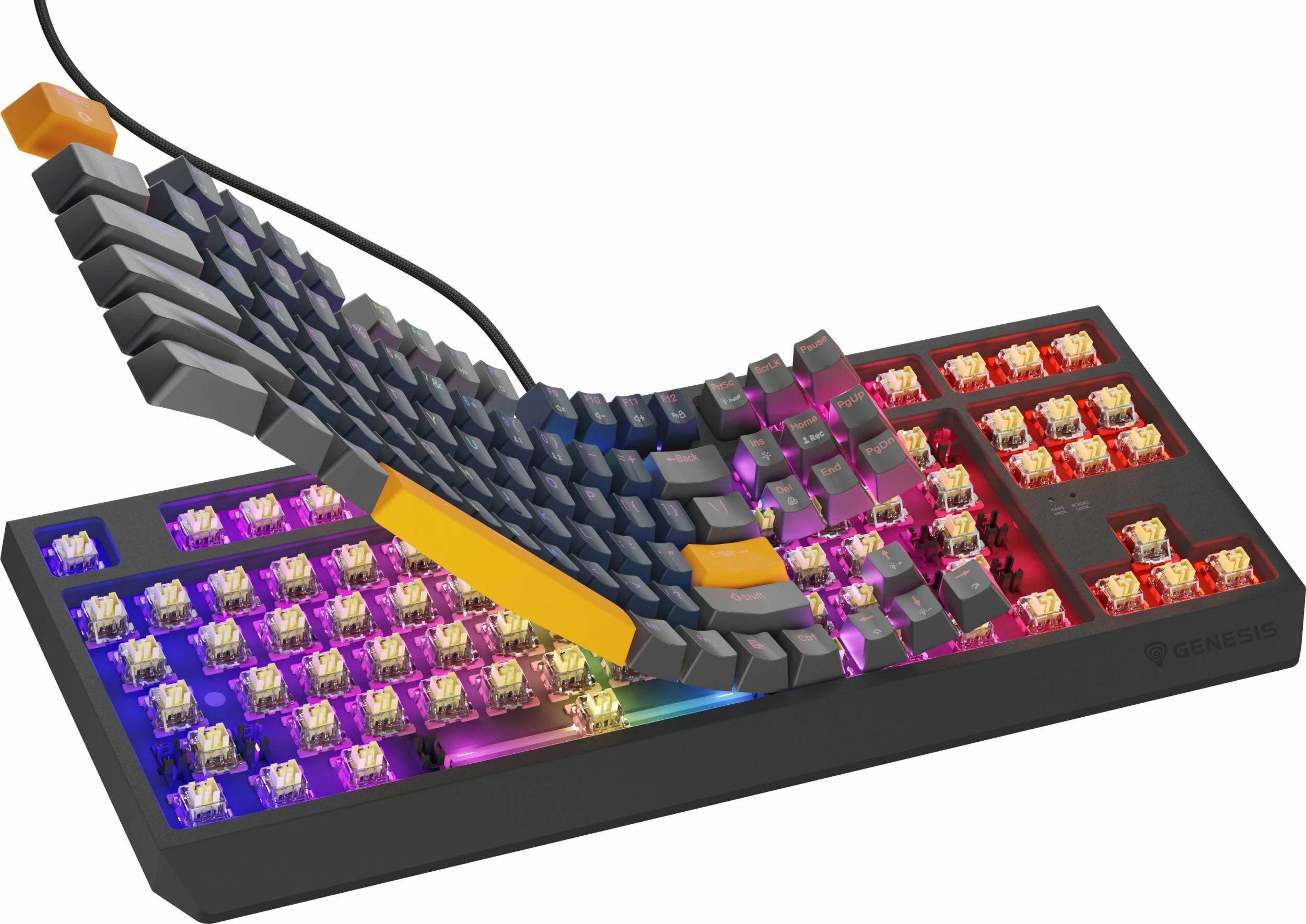 Tastierë mekanike gaming Genesis Thor 230 TKL NKG-2163, Outemu Panda, USB, RGB, layout US, Hot Swap, blu
