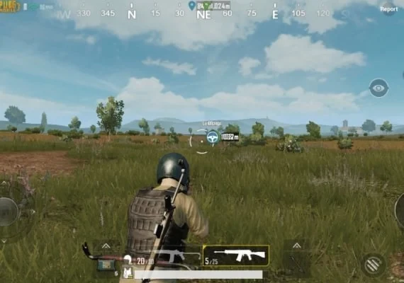 PUBG Mobile GLOBAL 300 + 25 Unknown Cash