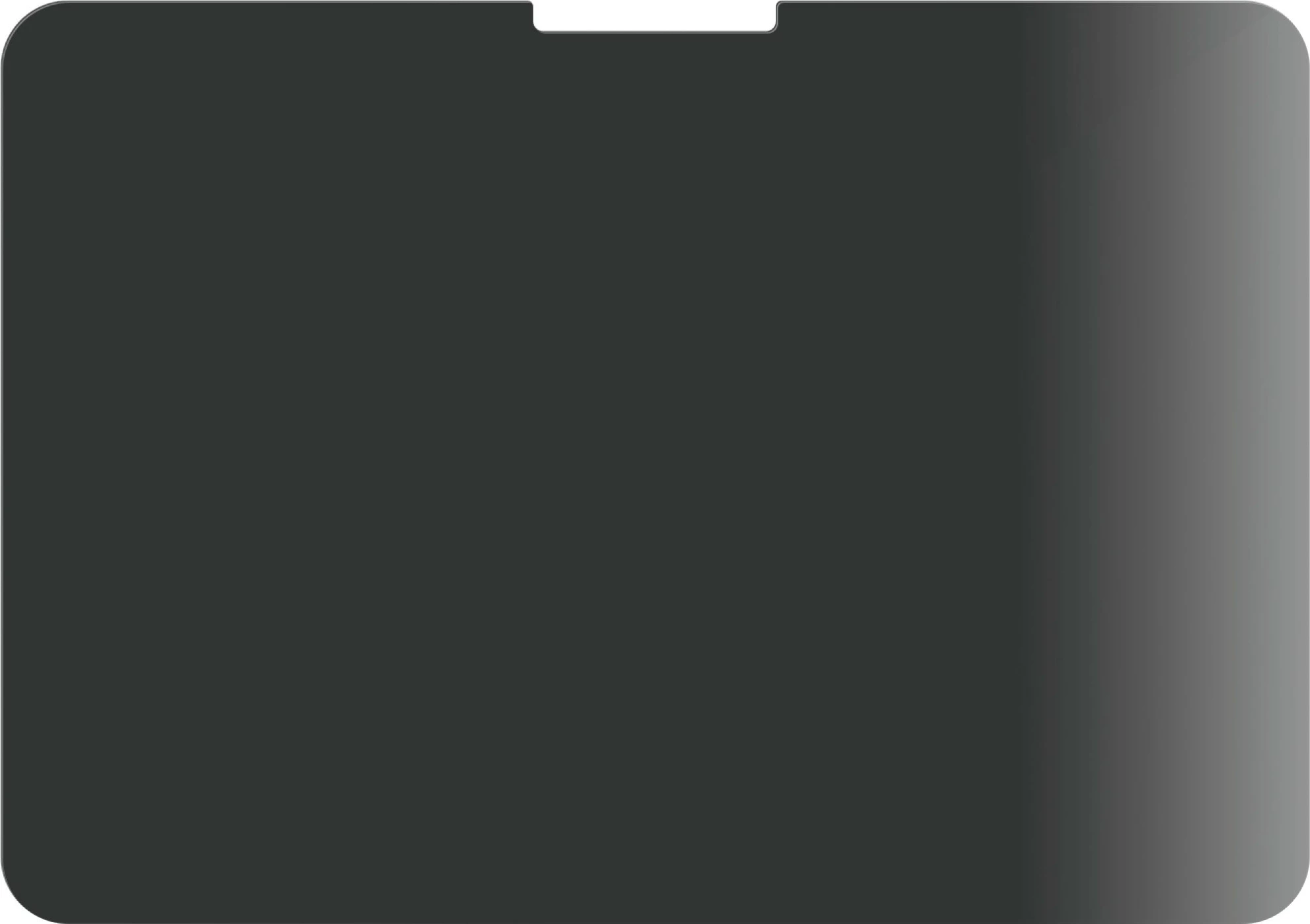 Mbrojtës ekrani PanzerGlass për iPad Pro 11 2024, privacy, transparent