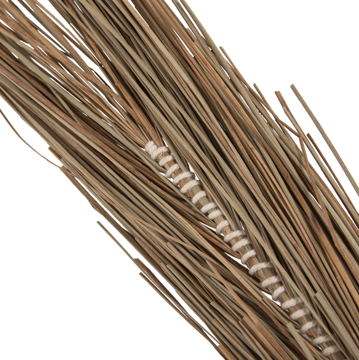 Pemë dekorative tropike, stil kokosi, FH4324, bar Mendong, 280Hcm