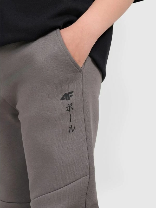 Pantallona sportive për fëmijë 4F, gri