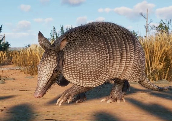 Planet Zoo - Grasslands Animal Pack DLC Global