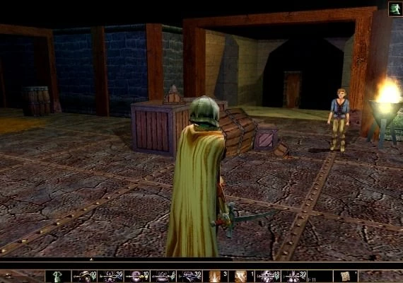 Neverwinter Nights: Infinite Dungeons DLC EN Global