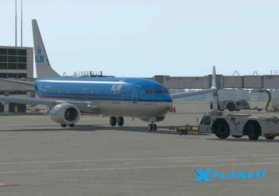 X-Plane 11 EN/DE/FR/IT/PT/RU/ES Global