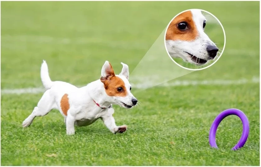 Kamerë sigurie IP Imou Bulb Cam 5MP IPC-S6DP, e bardhë