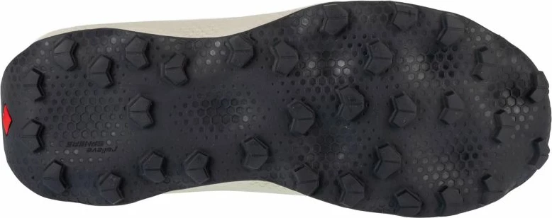 Atlete për meshkuj Salomon, gri