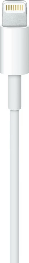 Apple Lightning to USB Cable, 1m