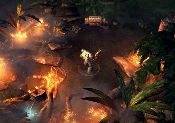 Warhammer 40,000: Space Wolf EN Global
