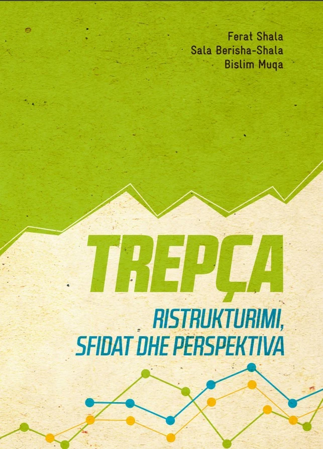 Trepça – Ristrukturimi, Sfidat dhe Perspektiva