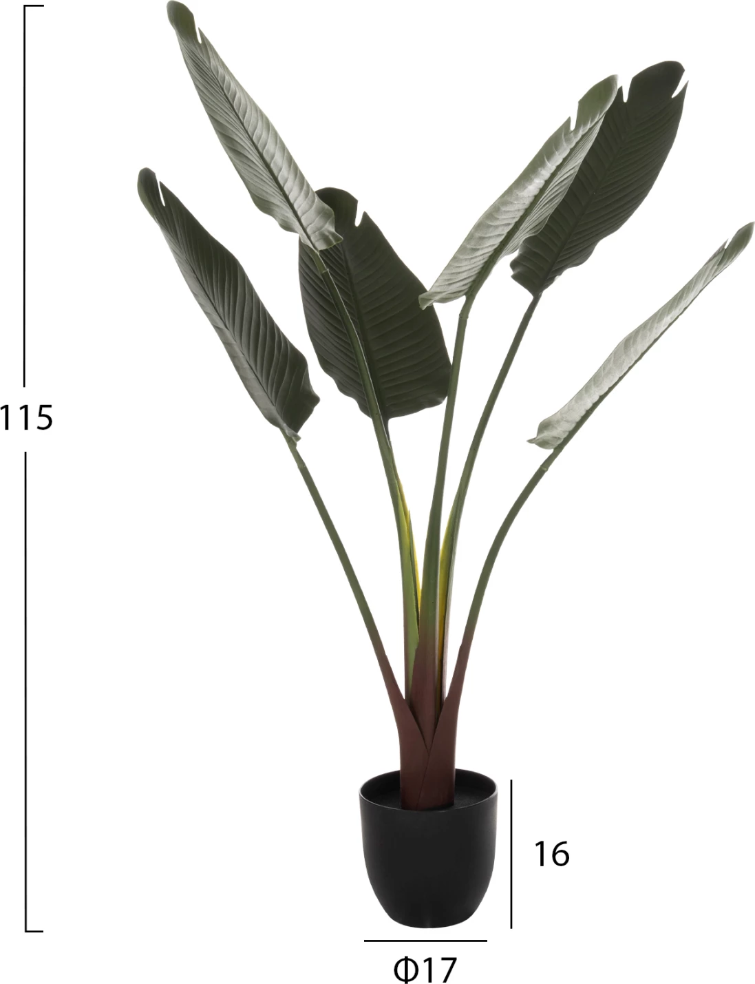 Bimë sintetike dekorative në vazo, FH7969, Strelitziaceae, 115Hcm