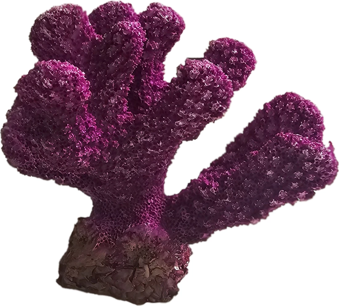 Dekor akuariumi – Koral 5