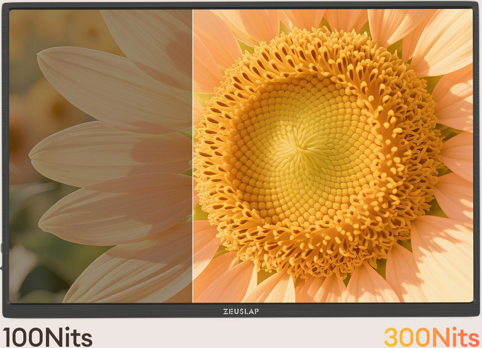 Monitor portativ me prekje Zeuslap Z14 Lite Pro 14\" IPS 1920x1200 60Hz, zezë