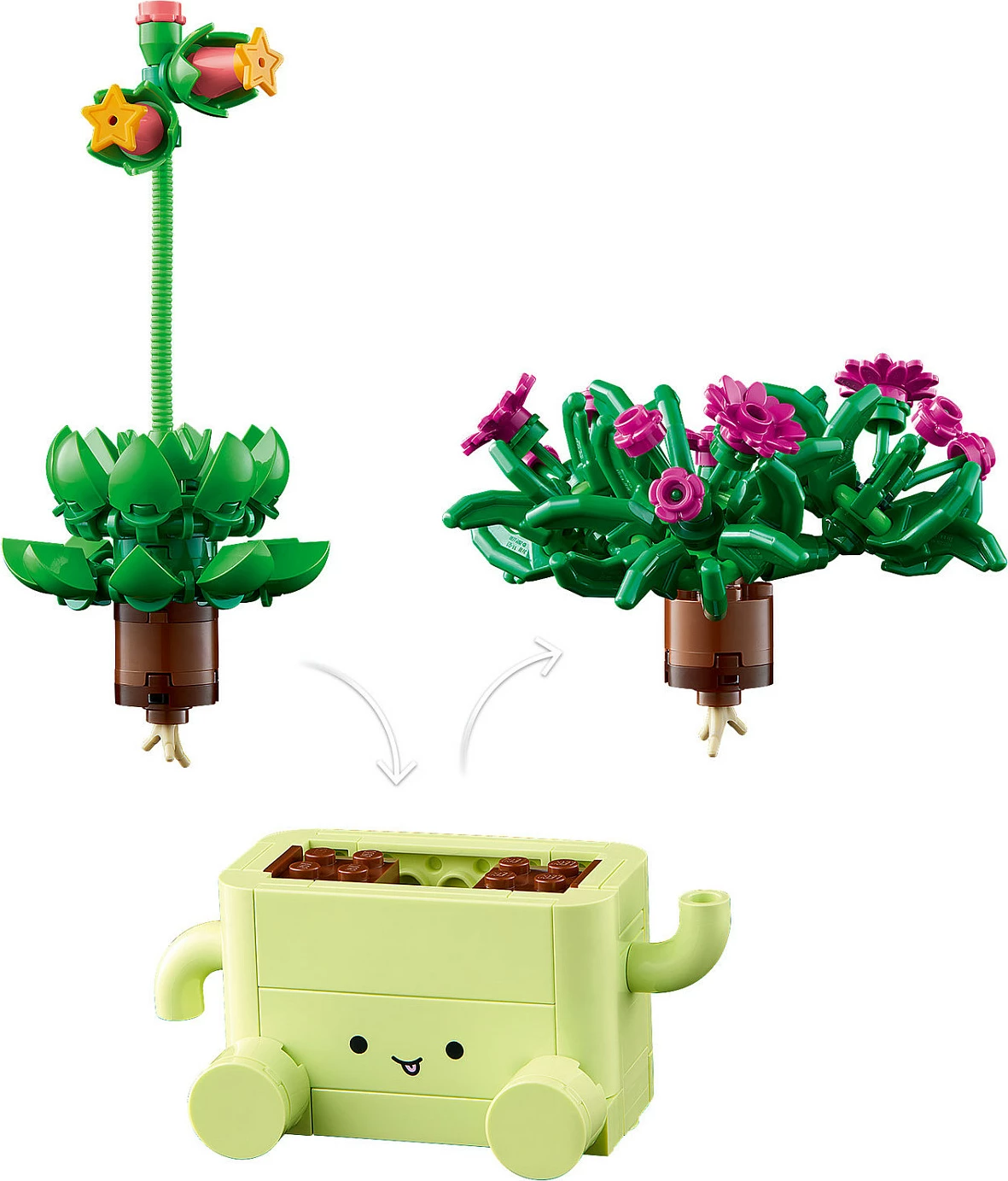 Set LEGO Botanicals Rocking Plants 11506, 253 copë, multikolor