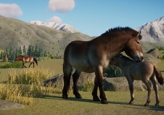 Planet Zoo: Conservation Pack DLC Global