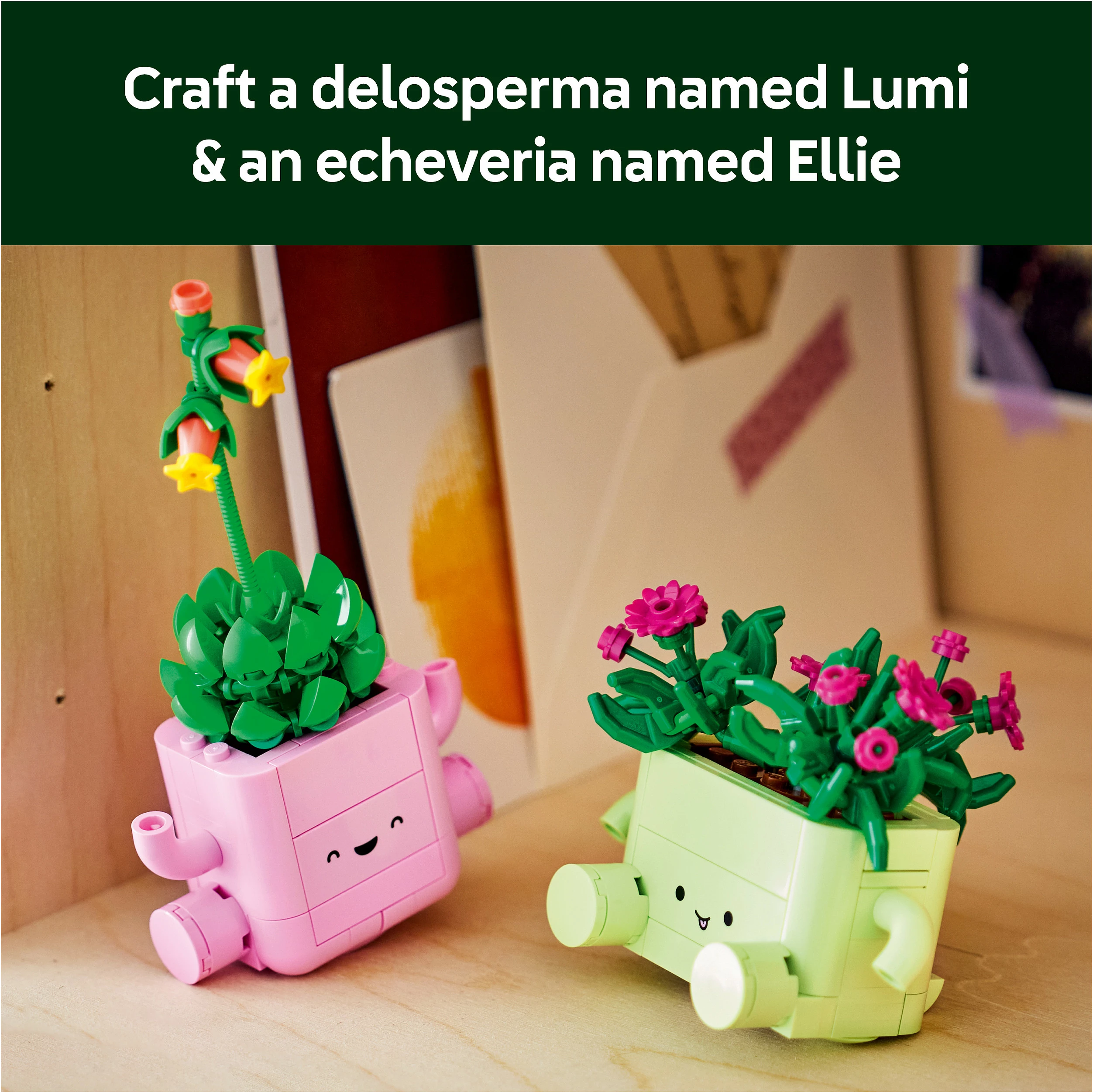 Set LEGO Botanicals Rocking Plants 11506, 253 copë, multikolor
