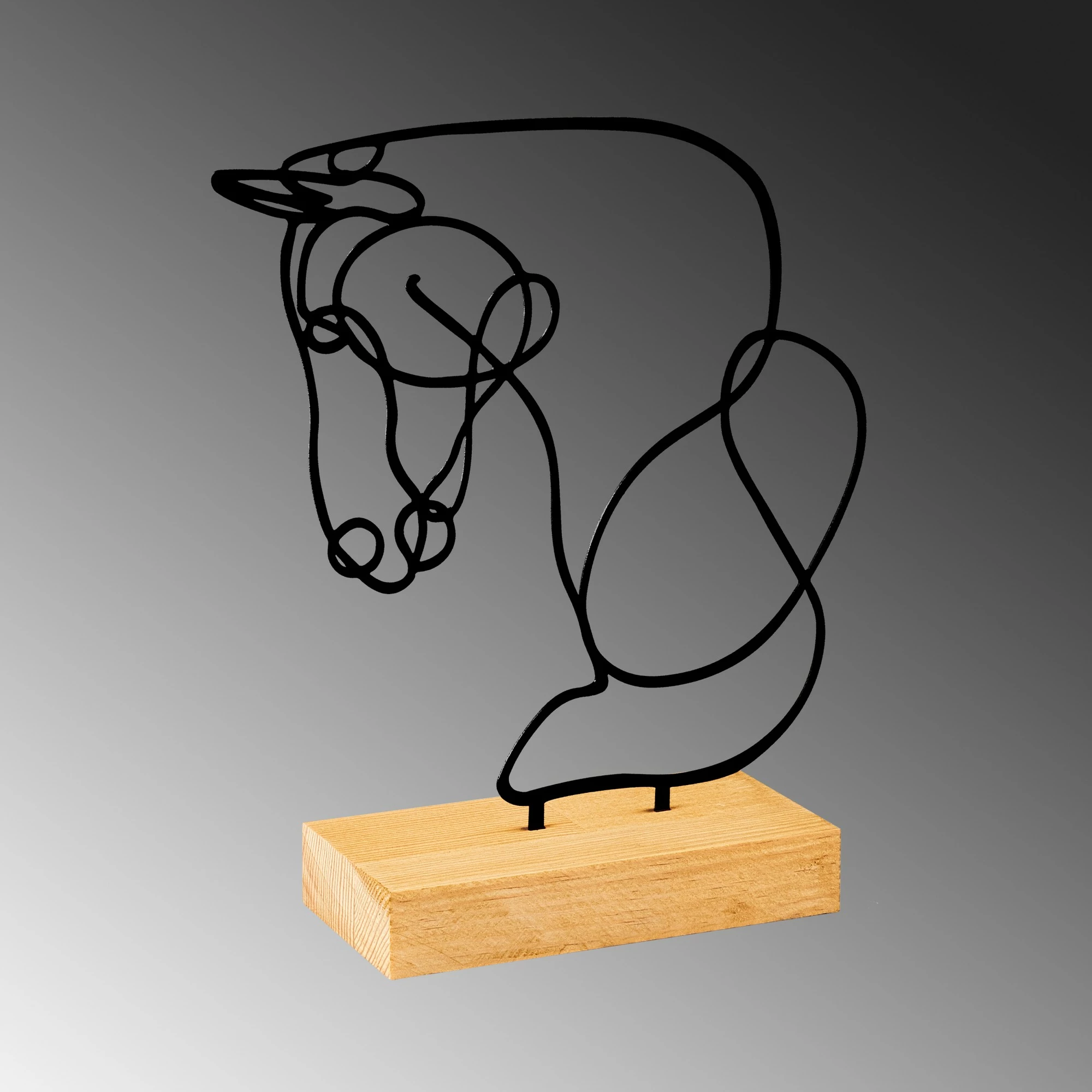 Objekt dekorativ Aberto Design, kuaj, ngjyrë e zezë