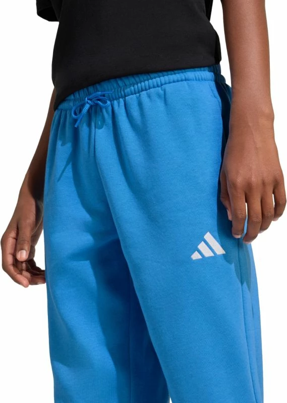 Pantallona sportive fëmijë adidas Essentials KS0379, blu [Madhësia: 176 cm]