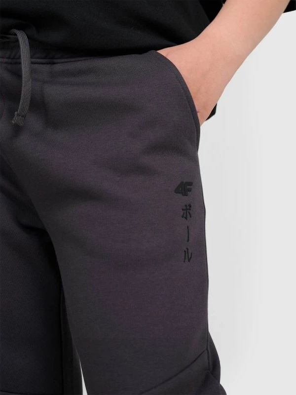 Pantallona sportive për djem 4F