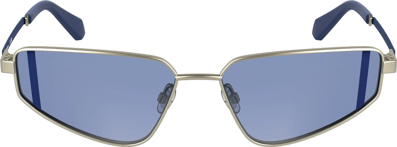 Syze dielli Calvin Klein femra, argjendi