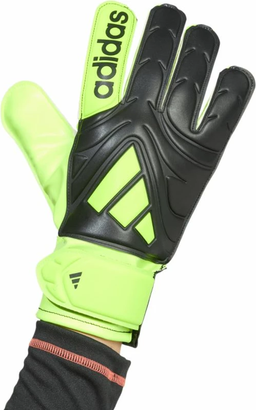 Doreza portieri adidas për meshkuj, femra, fëmijë, të bardha [Madhësia: 10.5]