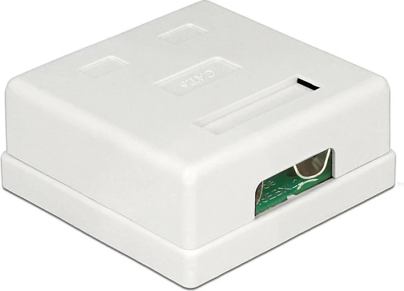 Prizë rrjeti DeLOCK 2x RJ-45 Cat.6, e bardhë