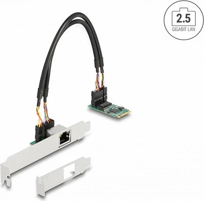 Kartelë rrjeti DeLOCK M.2 Key B+M, Intel I225-V, 1x RJ45 2.5GbE, e brendshme