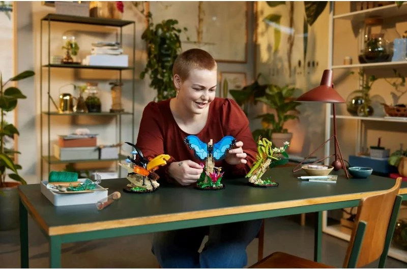 Set LEGO për të rritur, Lego