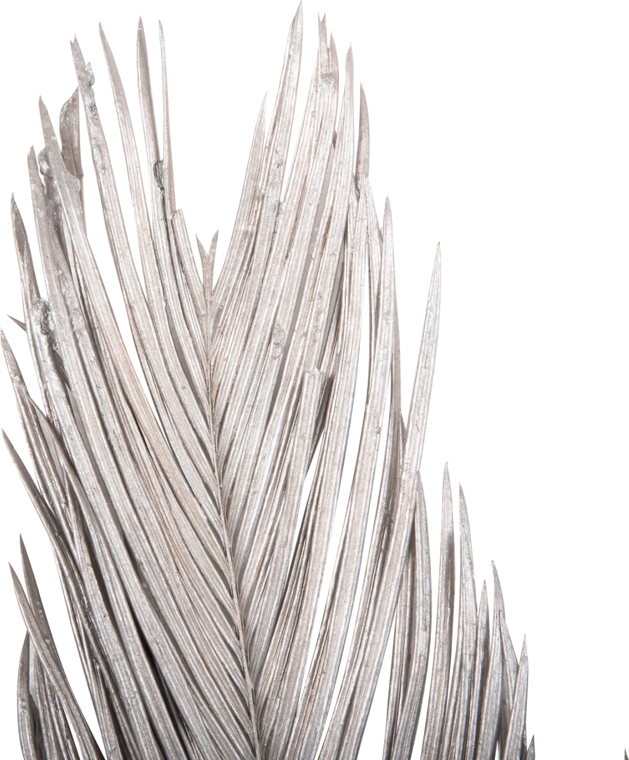 Set dekorativ me 3 gjethe palme të thata, ngjyrë argjendi, FH7957, 110H cm