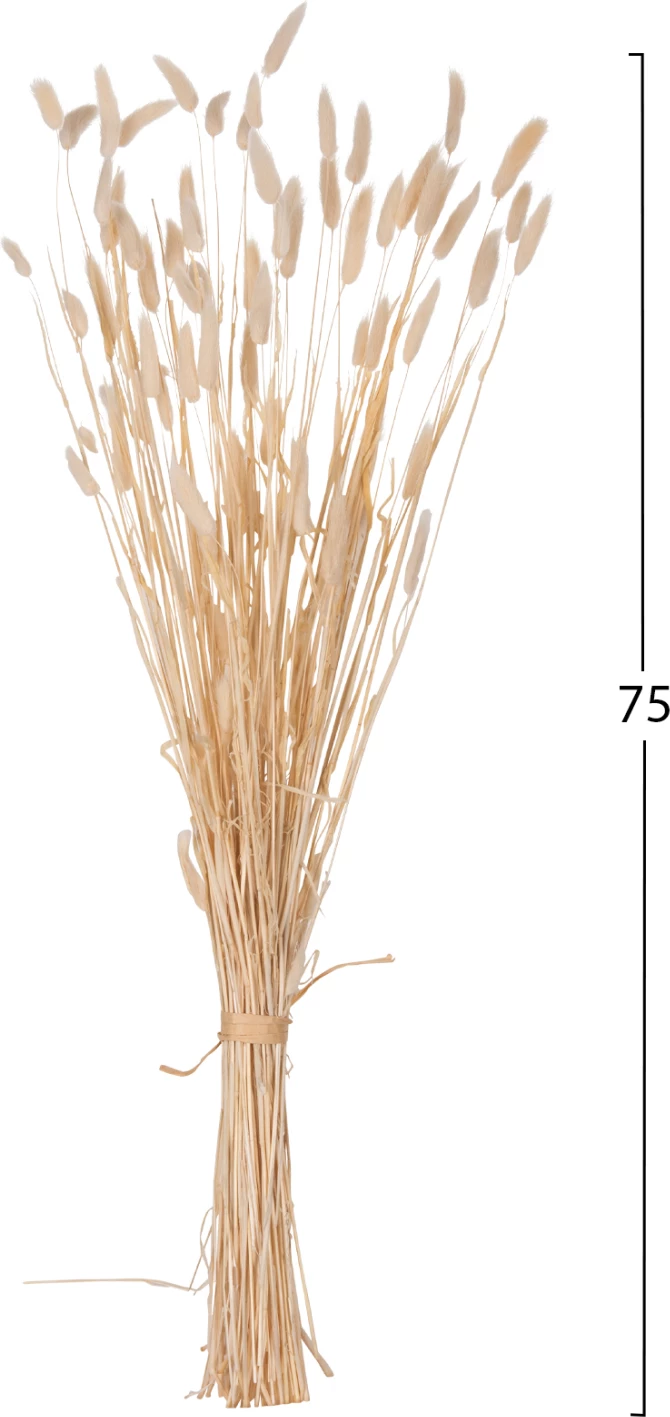 Buqetë dekorative e tharë, bisht lepuri, FH7959, krem, 76H cm