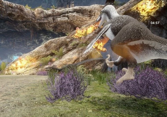 Raptor Territory EN/DE/FR/RU/HU/RO Global