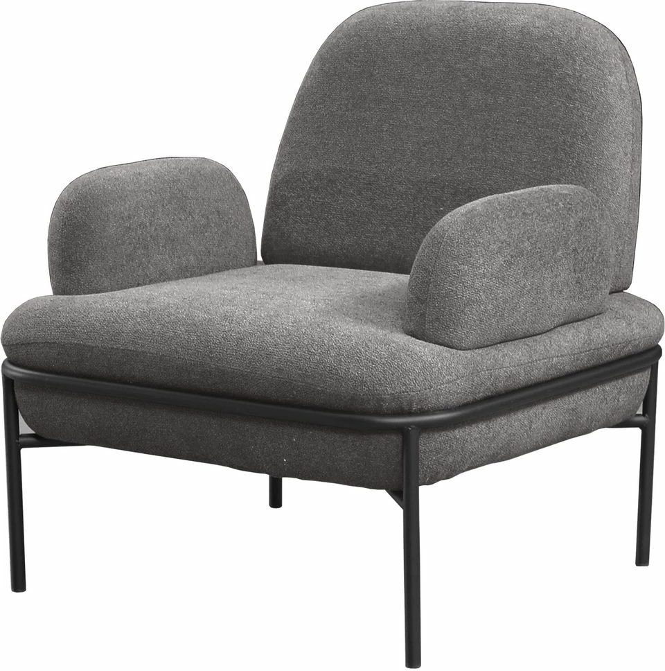 Karrige wing Aster, Atelier del Sofa, ngjyrë gri
